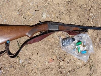 کشف یک قبضه سلاح شکاری و لاشه کل و بز وحشی در دماوند