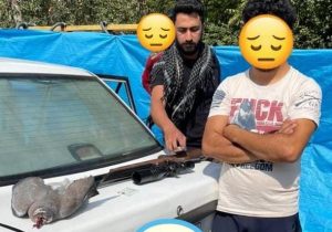 دستگیری شکارچی غیرمجاز در دماوند/ سلاح‌های pcp بلای جان حیات‌وحش ایران