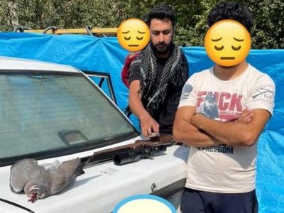 دستگیری شکارچی غیرمجاز در دماوند/ سلاحهای pcp بلای جان حیاتوحش ایران