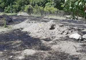 اطفای حریق حاشیه باغات در محله اتحاد شهر کیلان