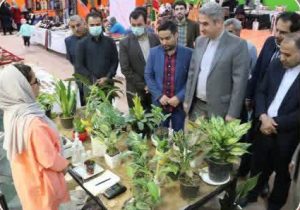 دماوند ظرفیت بسیاری برای اشتغال در حوزه صنایع دستی دارد