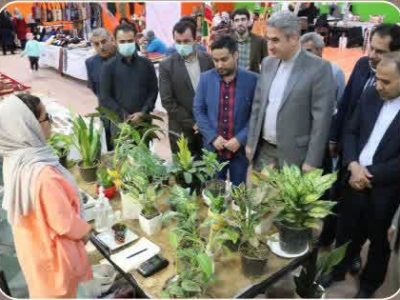 دماوند ظرفیت بسیاری برای اشتغال در حوزه صنایع دستی دارد