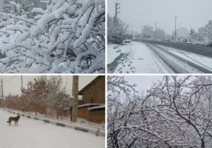 از تعطیلی مدارس ابتدایی تا آمادهباش ستاد مدیریت بحران در دماوند/ گلایه شهروندان از شرایط معابر شهری+ تصاویر