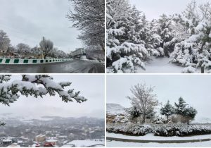 رخت سفید زمستان بر تن طبیعت دماوند/ همه رفتن مدرسه به جز دماوند و فیروزکوه!/ آمادهباش مدیریت بحران تا پایان هفته+ تصاویر