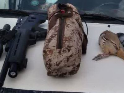 دستگیری شکارچی پرنده وحشی در دماوند