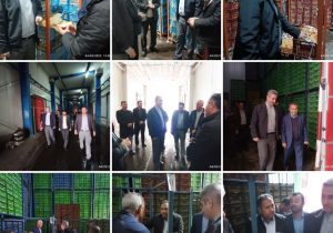 ذخیرهسازی ۳۰ هزار تن سیب شب عید در دماوند+ تصاویر