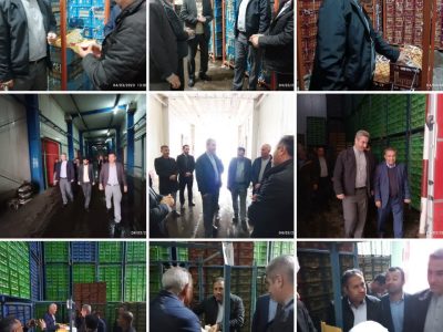 ذخیرهسازی ۳۰ هزار تن سیب شب عید در دماوند+ تصاویر