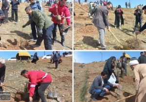 کاشت ۴۰۰ اصله نهال در منطقه چشمه اعلا شهر دماوند+ تصاویر