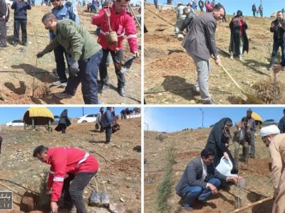 کاشت ۴۰۰ اصله نهال در منطقه چشمه اعلا شهر دماوند+ تصاویر