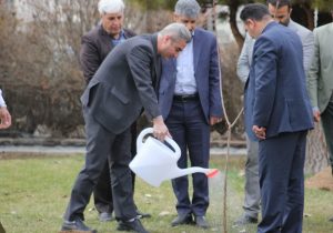 آسیب رساندن به درختان در طبیعت دماوند پیشگیری شود