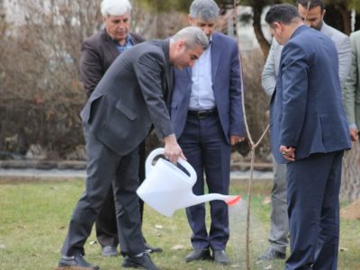 آسیب رساندن به درختان در طبیعت دماوند پیشگیری شود