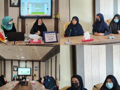 برگزاری کارگاه آموزشی همیاران مدارس متوسطه دخترانه دماوند+ تصاویر
