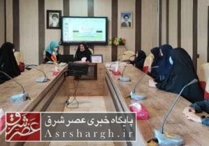 برگزاری کارگاه آموزشی همیاران مدارس متوسطه دخترانه دماوند+ تصاویر