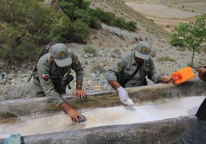 آغاز پویش مهربانی با حیاتوحش در دماوند/ ساخت آبشخورهای جدید در دماوند+ تصاویر