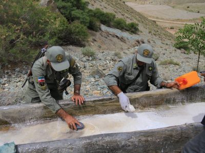 آغاز پویش مهربانی با حیاتوحش در دماوند/ ساخت آبشخورهای جدید در دماوند+ تصاویر