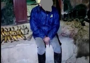 دستگیری متخلف صید غیرمجاز ماهی در دماوند/ ۳۶ عدد ماهی و تور دام ماهیگیری کشف شد