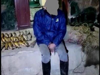 دستگیری متخلف صید غیرمجاز ماهی در دماوند/ ۳۶ عدد ماهی و تور دام ماهیگیری کشف شد