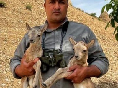 فیلم| نوزادانی که بازگشتی به زندگی نخواهند داشت!