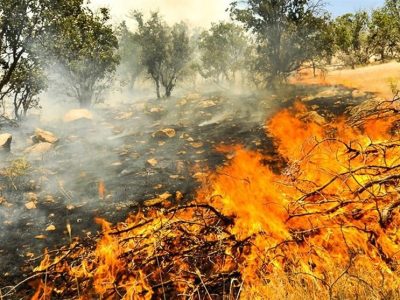 هشدار درباره احتمال وقوع آتش سوزی در مراتع دماوند