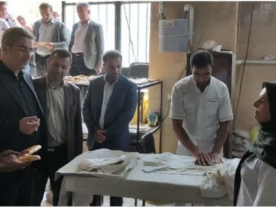 بررسی وضعیت نانوایی روستاهای محور دلیچایی+ تصاویر
