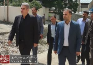 بازدید از پروژه احداث دیوار ساحلی روستای هویر+تصاویر