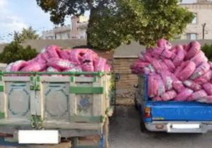 لاستیکهای قاچاق در تور اطلاعاتی پلیس دماوند