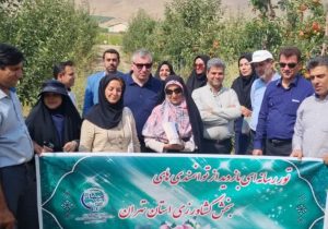 تولید ۱۴۰ تن محصولات باغی در ۷ هزار هکتار از باغات دماوند+ تصاویر