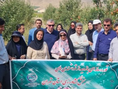 تولید ۱۴۰ تن محصولات باغی در ۷ هزار هکتار از باغات دماوند+ تصاویر