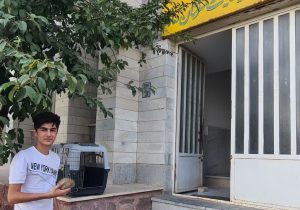 تحویل یک جوجه تیغی توسط شهروند دوستدار حیات وحش در دماوند