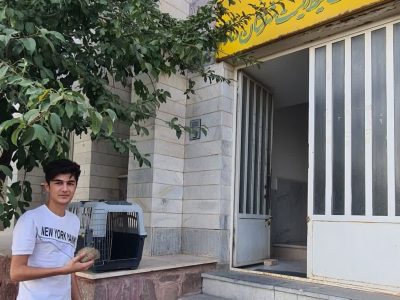 تحویل یک جوجه تیغی توسط شهروند دوستدار حیات وحش در دماوند