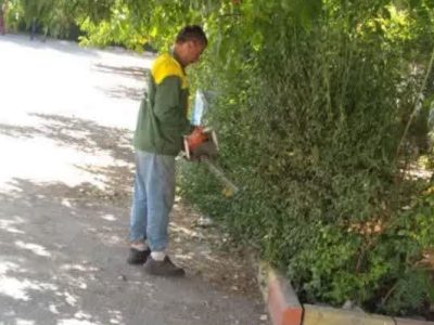 اجرای طرح استقبال از ماه مهر در مدارس شهر آبسرد+تصاویر