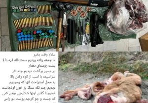 شناسایی عاملین کشتار حیات وحش در شهرستان دماوند/ یک قبضه سلاح شکاری و لاشه قوچ وحشی کشف شد