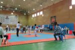 قهرمانان مسابقات کاراته توابع استان تهران معرفی شدند+تصاویر