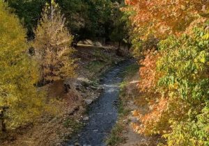 طبیعت بکر نارنجی دماوند/ پاییزی که نباید از دست بدهید+ تصاویر