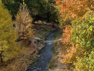 طبیعت بکر نارنجی دماوند/ پاییزی که نباید از دست بدهید+ تصاویر