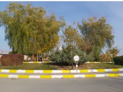 اجرای عملیات رنگآمیزی جداول در شهر آبسرد+تصاویر