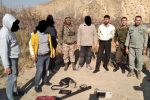 دستگیری ۴ نفر حفار غیرمجاز در ارتفاعات دره ناهی و گردنه زرد دماوند