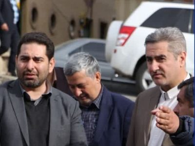 بازدید معاون امور دهیاریهای سازمان شهرداری و دهیاریهای وزارت کشور از روستای دهنار دماوند+تصاویر