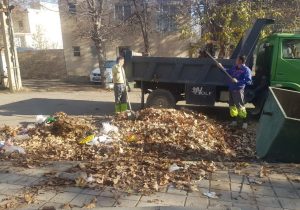 فعالیت مستمر گشت پسماند شهرداری دماوند/ جلوگیری از سوزاندن شاخ و برگ در دستور کار است+ تصاویر