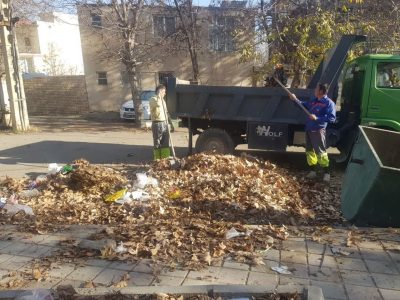 فعالیت مستمر گشت پسماند شهرداری دماوند/ جلوگیری از سوزاندن شاخ و برگ در دستور کار است+ تصاویر