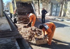 جمعآوری مستمر شاخ و برگهای سطح شهر دماوند+ تصاویر