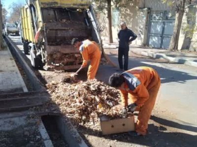 جمعآوری مستمر شاخ و برگهای سطح شهر دماوند+ تصاویر