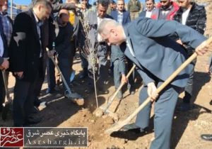 آغاز طرح کاشت ۵۰ هزار اصله نهال در آبعلی+ تصاویر