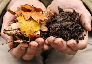 آمادگی نظام صنفی جهاد کشاورزی برای صدور مجوز تولید کمپوست و کود برگ در دماوند