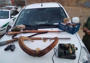 کشف ۴ اسلحه غیرمجاز و لاشه یک رأس قوچ وحشی در دماوند