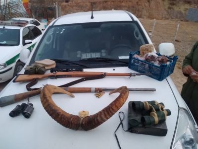 کشف ۴ اسلحه غیرمجاز و لاشه یک رأس قوچ وحشی در دماوند