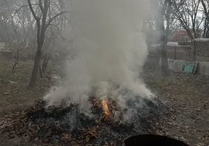 تداوم برخورد با عوامل متخلف پسماندسوزی در دماوند + تصاویر