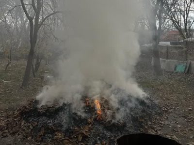 تداوم برخورد با عوامل متخلف پسماندسوزی در دماوند + تصاویر