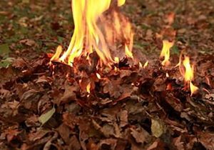 چاره داستان ناتمام برگ‌سوزی در دماوند چیست؟