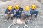 دستگیری ۴ نفر شکارچی غیر مجاز در ارتفاعات هاشمک منطقه شکارممنوع کوه سفید دماوند